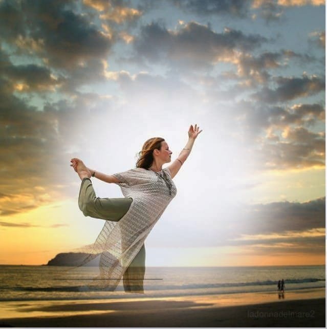 64531615_2312506502158229_5004275166339923968_n